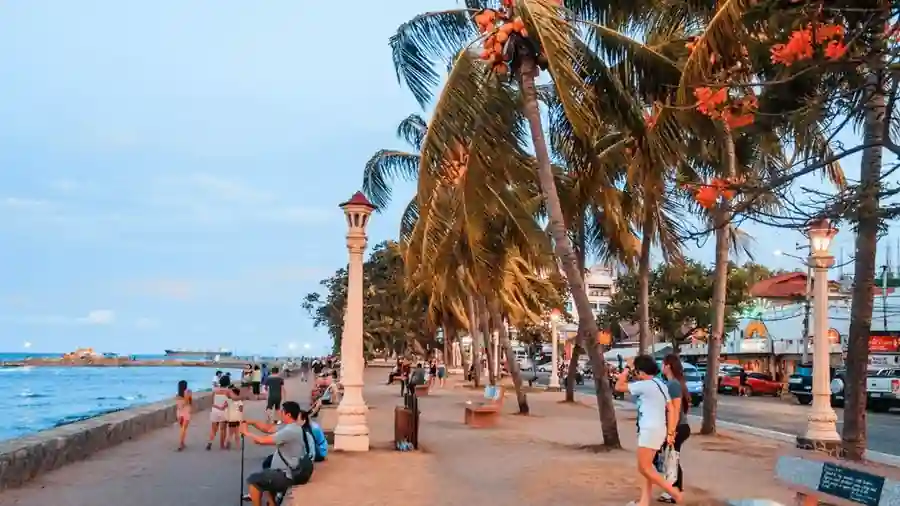 Palm-lined seafront promenade near Gurney Drive in Penang