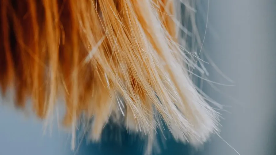 Close-up of human hair extension strands showing hair quality